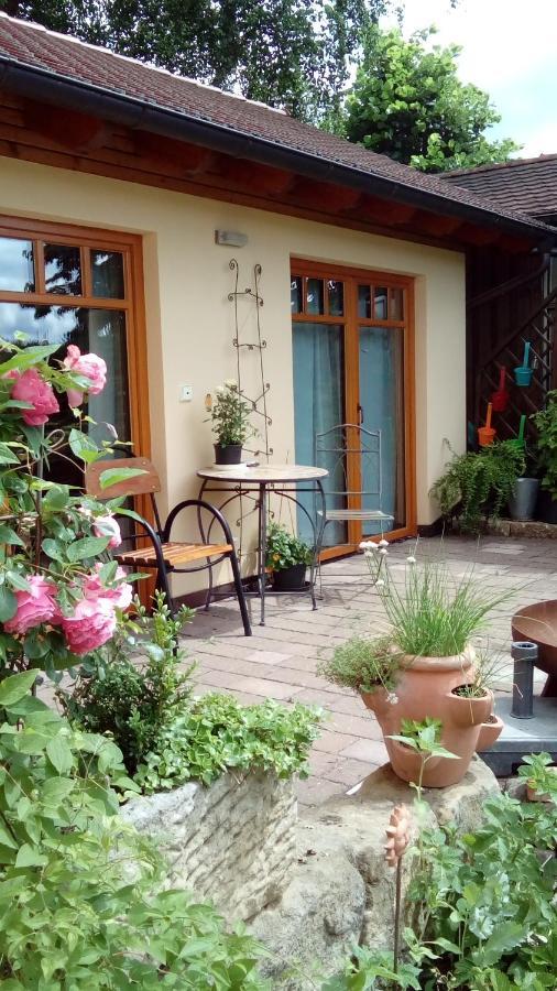Apartment Mit Gartenblick Eckersdorf Eksteriør bilde