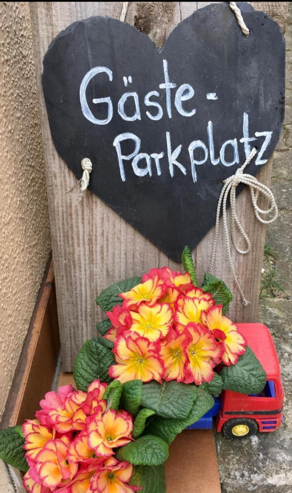 Apartment Mit Gartenblick Eckersdorf Eksteriør bilde
