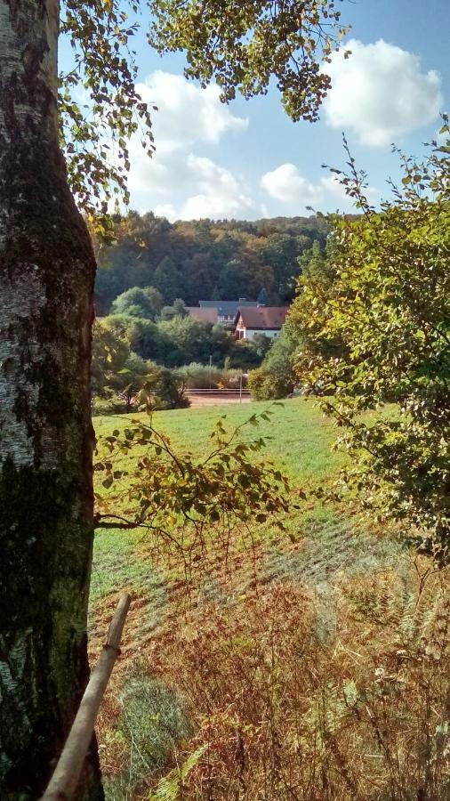 Apartment Mit Gartenblick Eckersdorf Eksteriør bilde